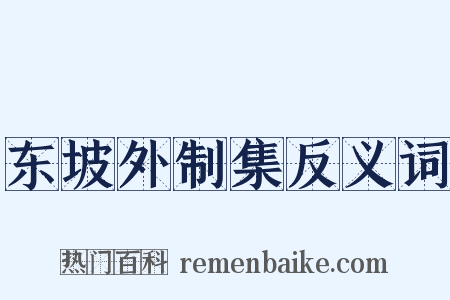 东坡外制集反义词是什么意思的图片